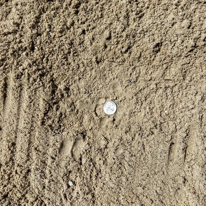 River sand for leveling, fill, and grading